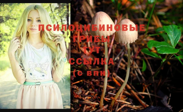 метадон Слюдянка